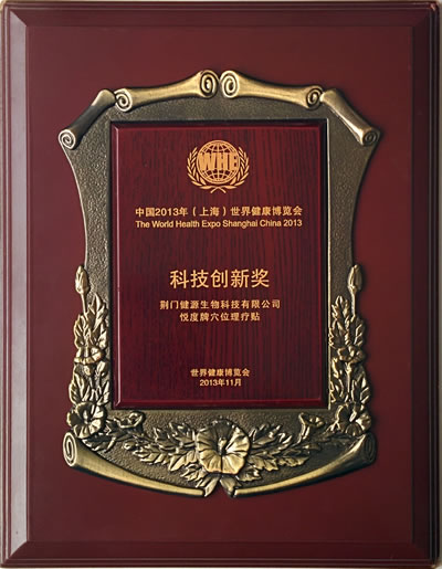 “中国2013年（上海）世界健康博览会科技创新奖